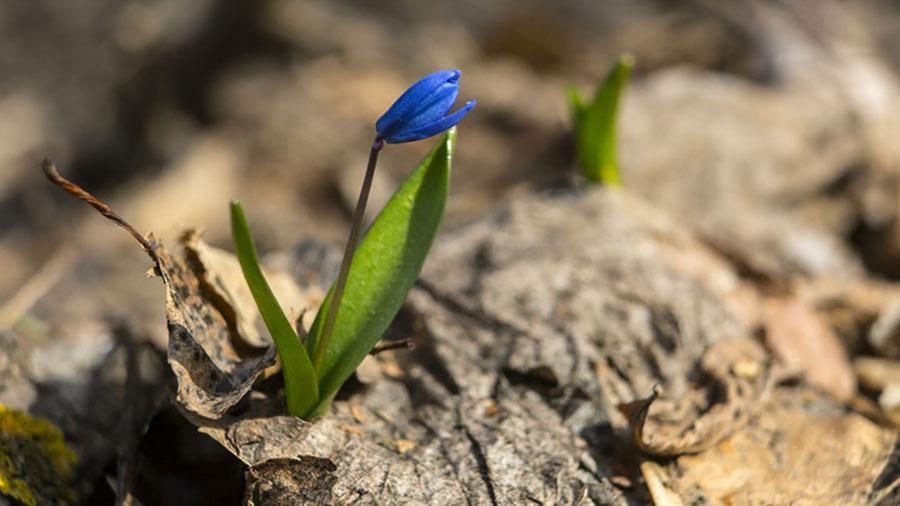 Погода на апрель 2018 Украина: прогноз погоды - когда потеплеет Погода на апрель 2018 Украина: прогноз погоды - когда потеплеет