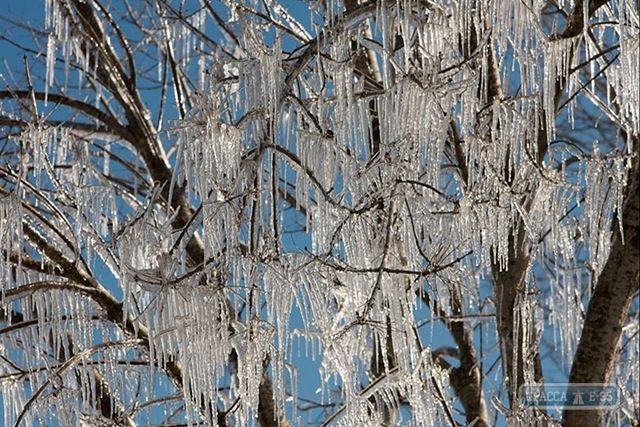 Набережная Одессы покрылась льдом: невероятные фото аномальной весны Набережная Одессы покрылась льдом: невероятные фото аномальной весны