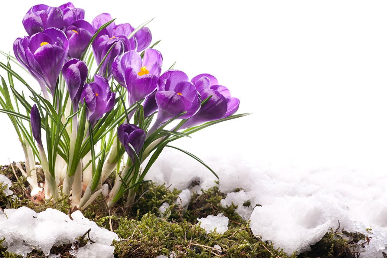 Погода 22 березня: в Україну йде потепління - прогноз