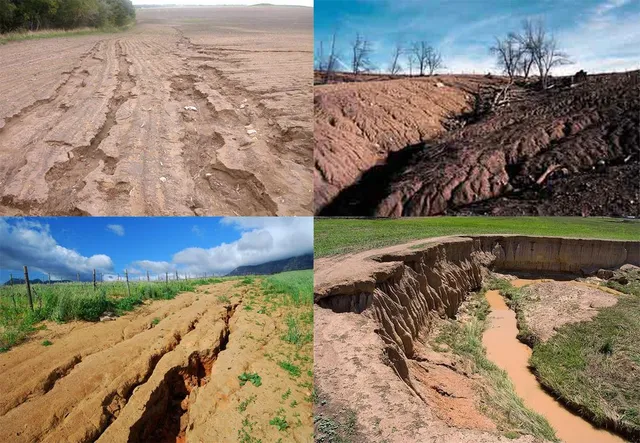 Година Землі Година Землі