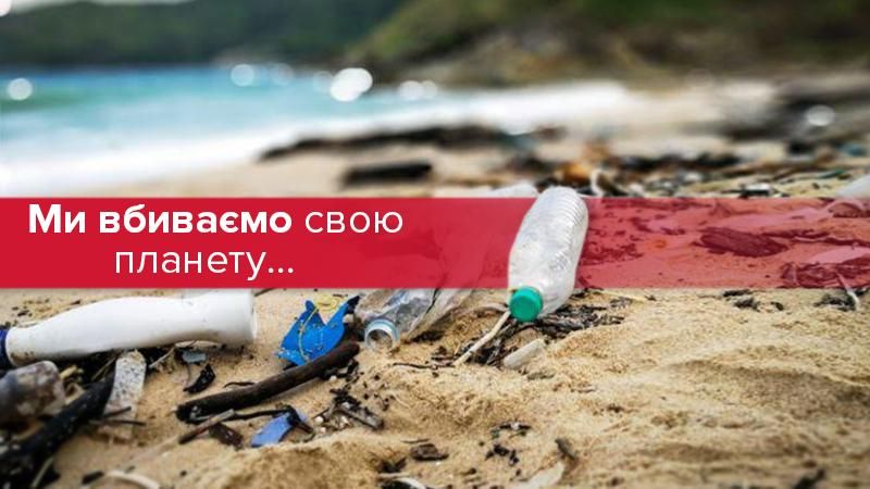 Час Земли: когда и почему вы должны выключить свет