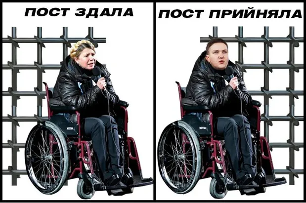 Карикатура на Тимошенко і Савченко