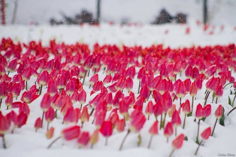 Похолодание в Украине с 28 марта: прогноз погоды Похолодание в Украине с 28 марта: прогноз погоды