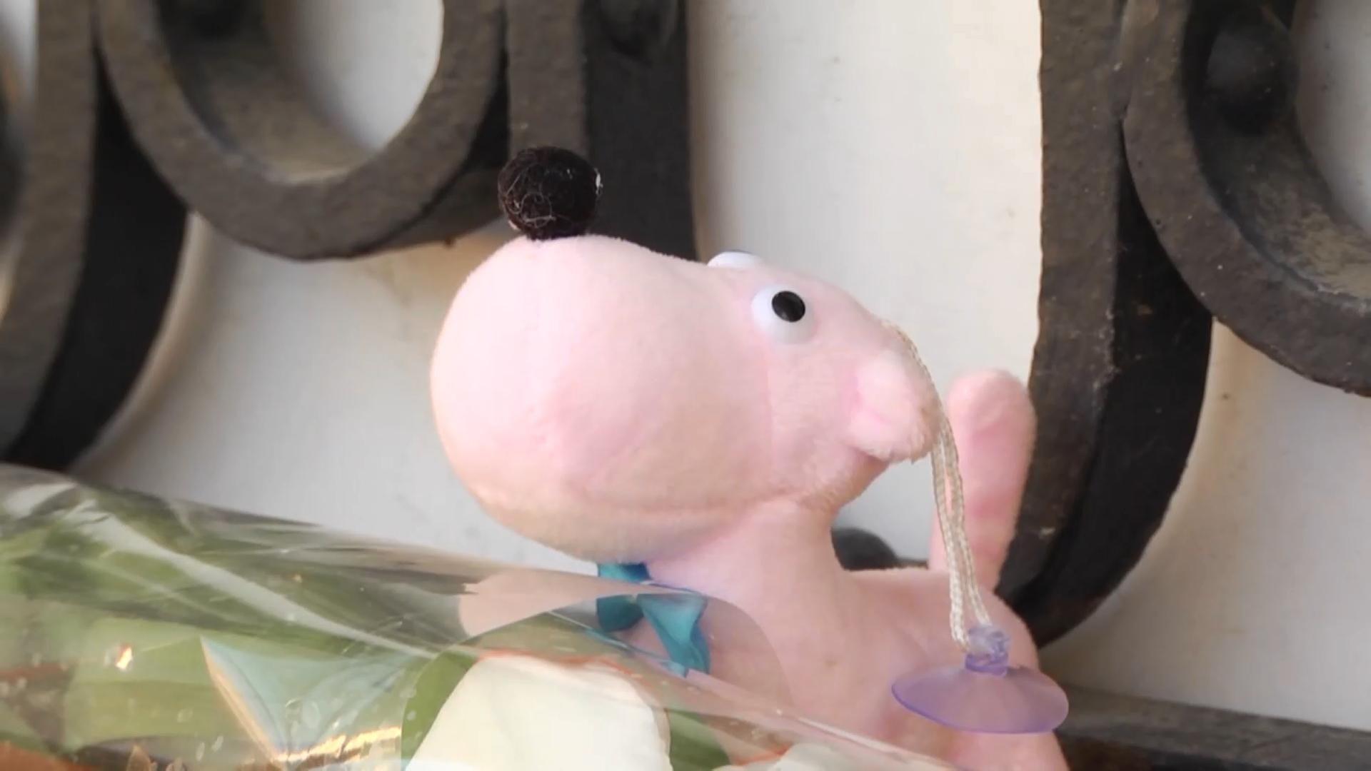 Під консульство Росії несуть квіти та іграшки Під консульство Росії несуть квіти та іграшки