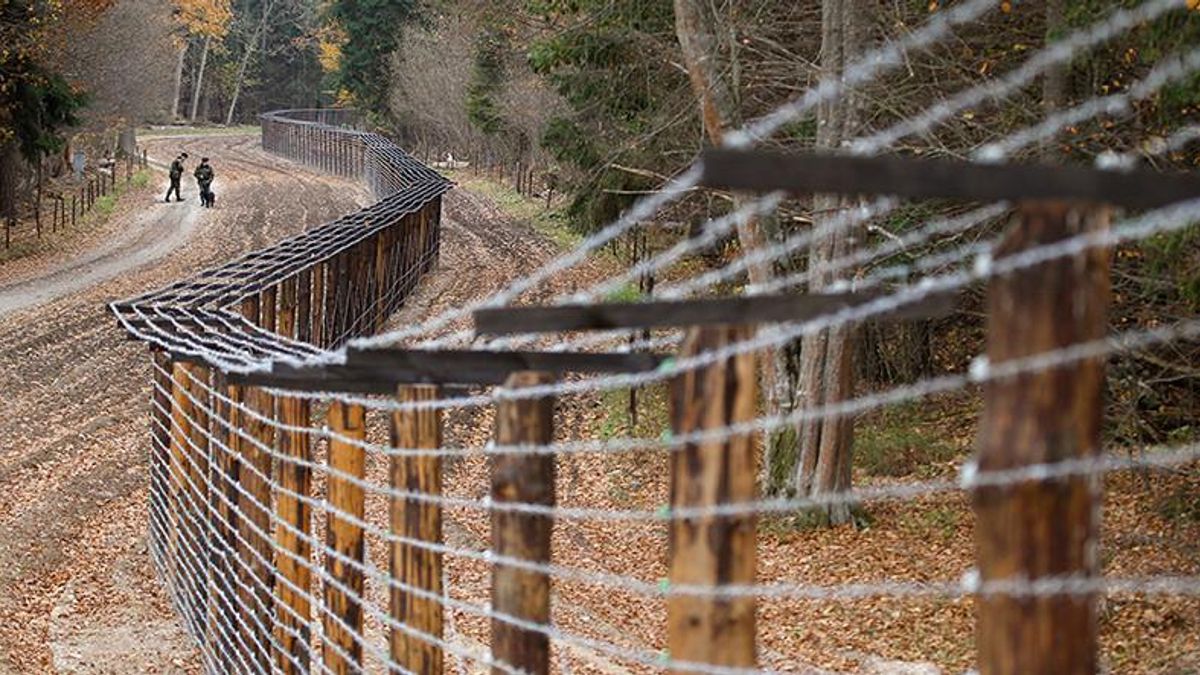 Польша отгородится от Украины забором: известны детали