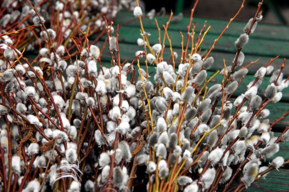 Погода 1 квітня в Україні: прогноз від синоптиків Погода 1 квітня в Україні: прогноз від синоптиків