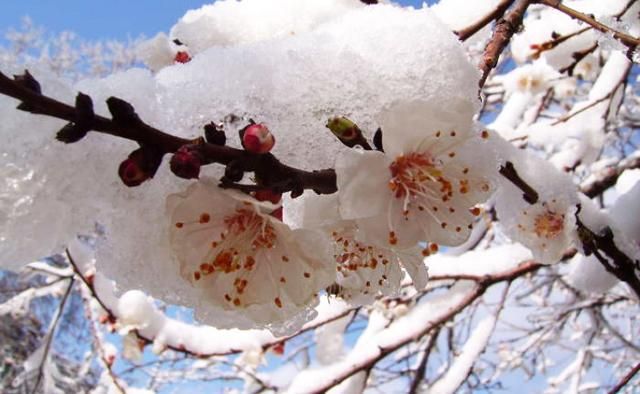 Погода в квітні 2018 Україна: у квітні випаде сніг - дати Погода в квітні 2018 Україна: у квітні випаде сніг - дати