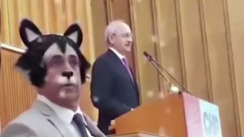 Депутат транслював засідання фракції в режимі емоджі: кумедні кадри