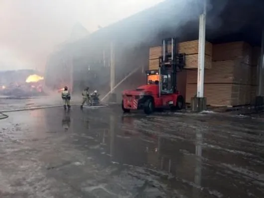 Пожежа на деревообробному заводі в Росії
