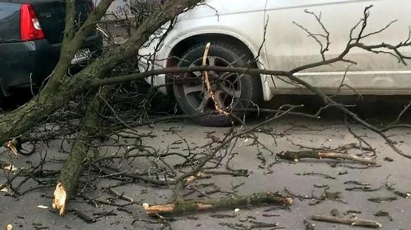 Машини серйозно постраждали внаслідок падіння гілок у центрі Києва 