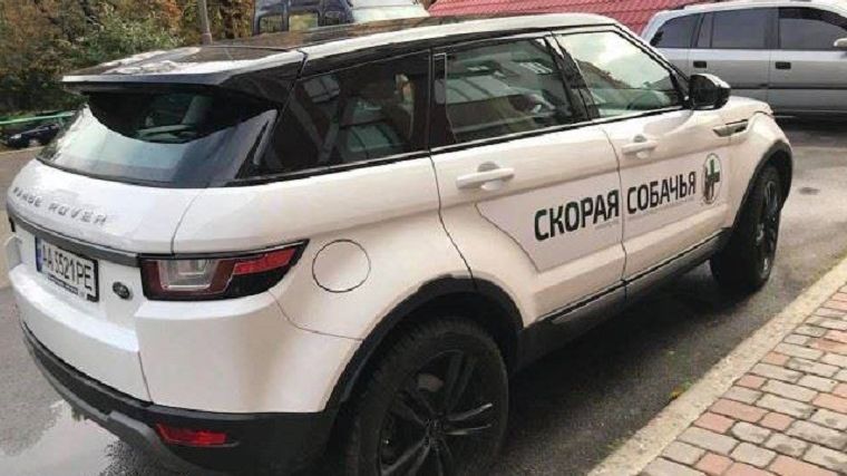 Как работает собачья скорая в Киеве: видео Как работает собачья скорая в Киеве: видео