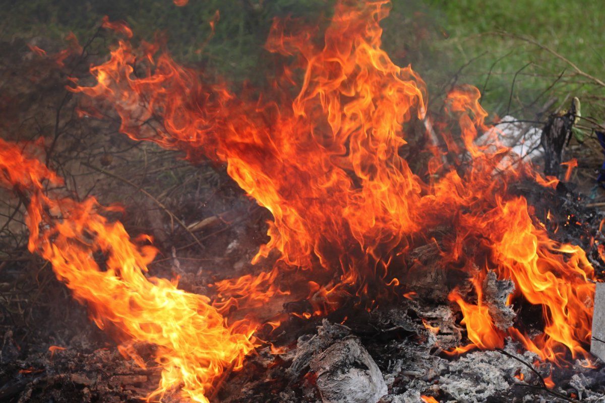 В Украине хотят существенно повысить штрафы за сжигание листвы: названа сумма
