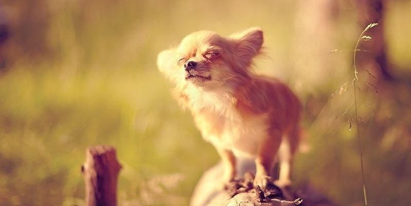 Погода 4 апреля в Украине: прогноз погоды от синоптиков Погода 4 апреля в Украине: прогноз погоды от синоптиков