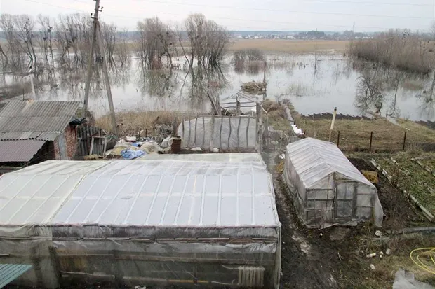 Річка Мжа вийшла з берегів