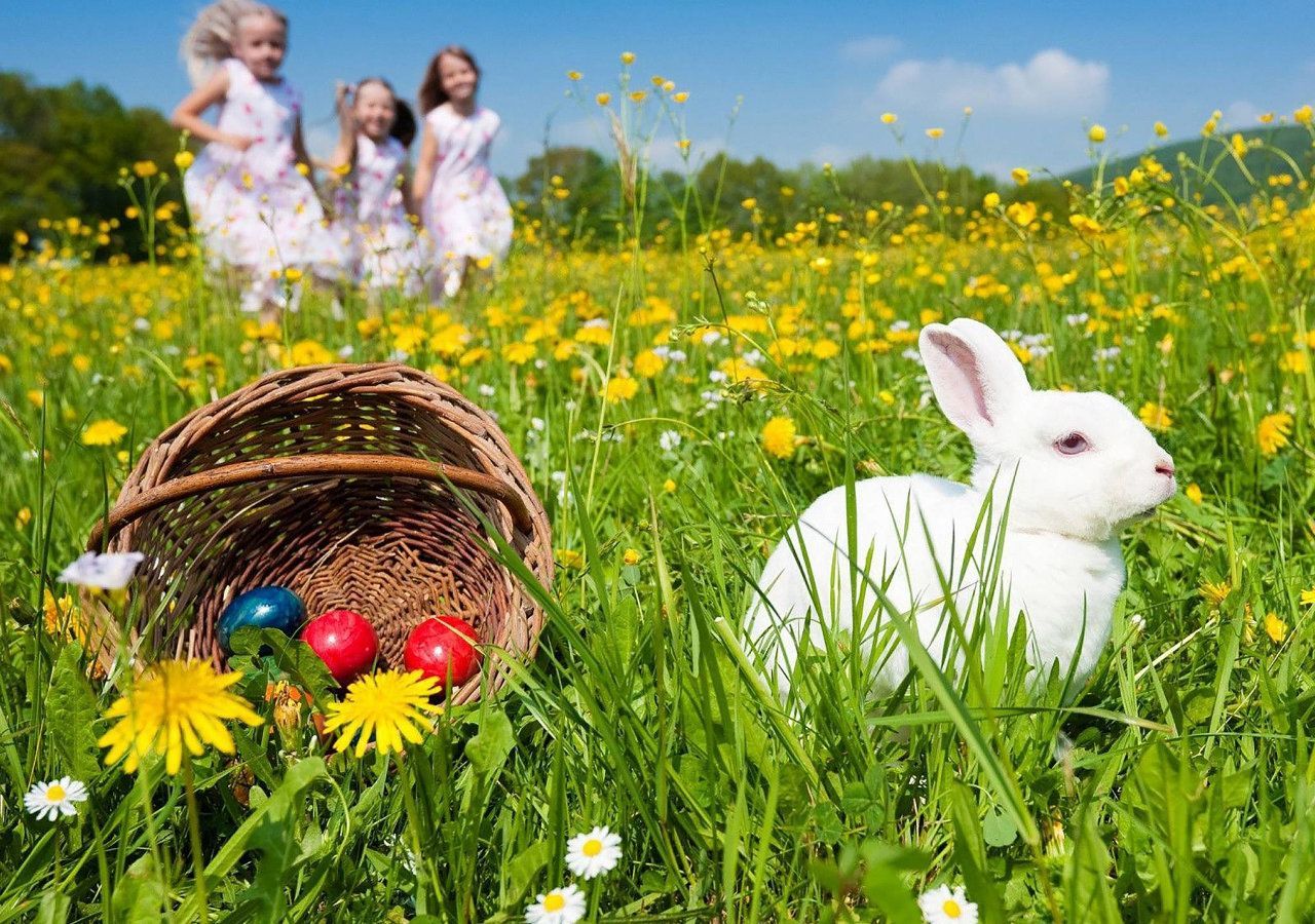 Прогноз погоды на 8 апреля в Украине от синоптиков Прогноз погоды на 8 апреля в Украине от синоптиков