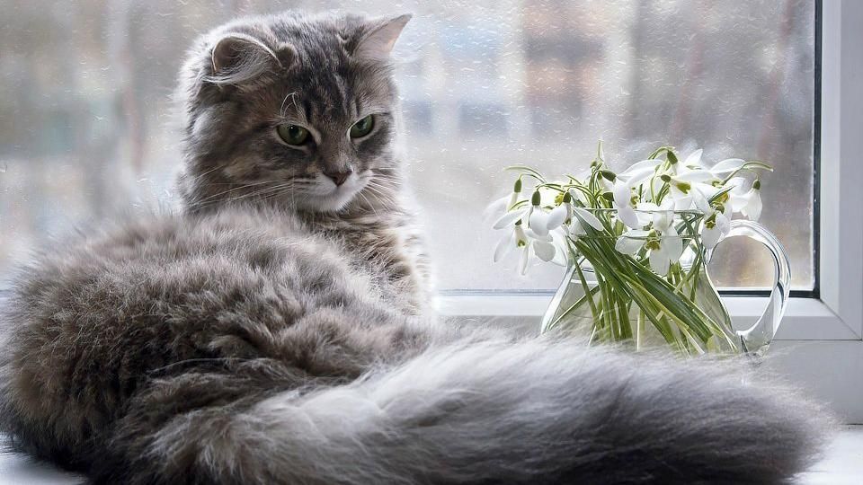 Погода на 10 квітня в Україні: прогноз від синоптиків Погода на 10 квітня в Україні: прогноз від синоптиків