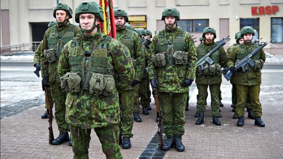 До України їдуть службовці Добровольчих сил оборони Литви