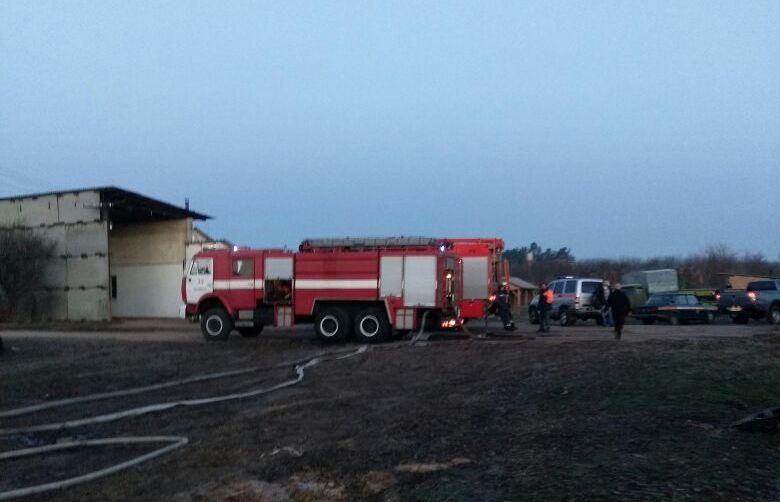 На Киевщине горела конюшня: погибли четверо лошадей На Киевщине горела конюшня: погибли четверо лошадей