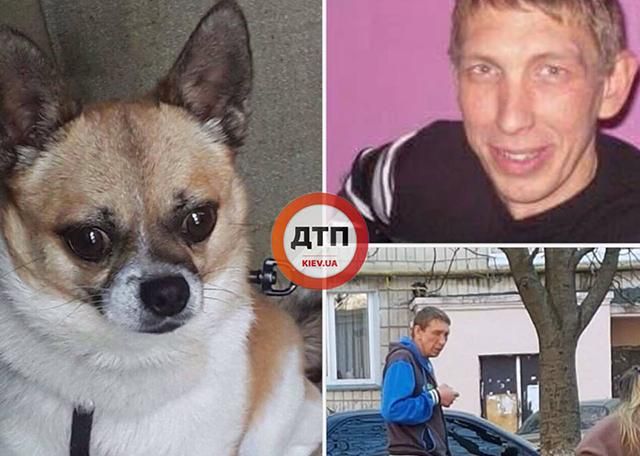 У Києві чоловік викинув собаку з 9 поверху будинку (18+)