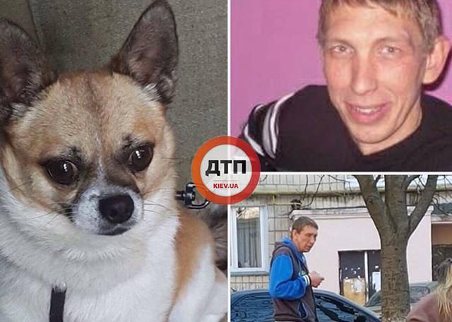 В Киеве мужчина выбросил собаку с 9 этажа дома (18+) В Киеве мужчина выбросил собаку с 9 этажа дома (18+)