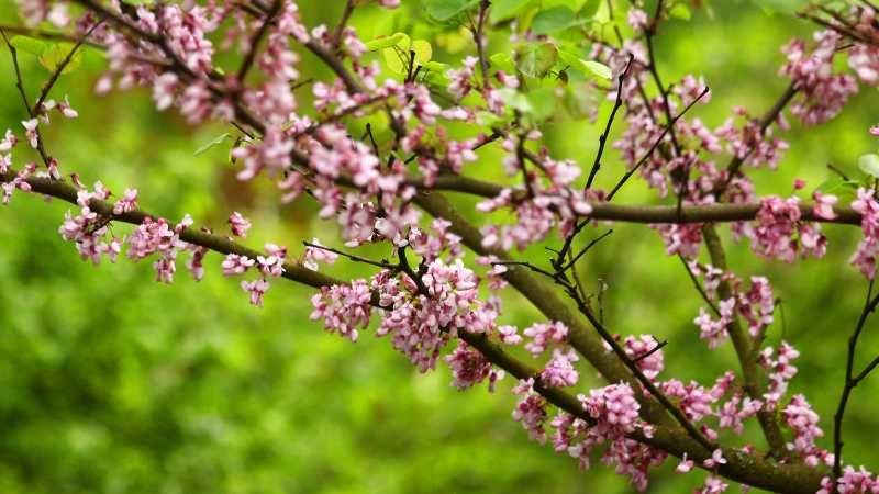 Погода 12 апреля в Украине похолодание - прогноз погоды Погода 12 апреля в Украине похолодание - прогноз погоды