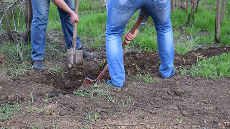 Убит Артур Поляков из-за долга - начальник Николаевской таможни Убит Артур Поляков из-за долга - начальник Николаевской таможни