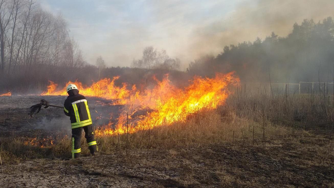 В Україні зросла кількість пожеж через те, що люди палять сміття