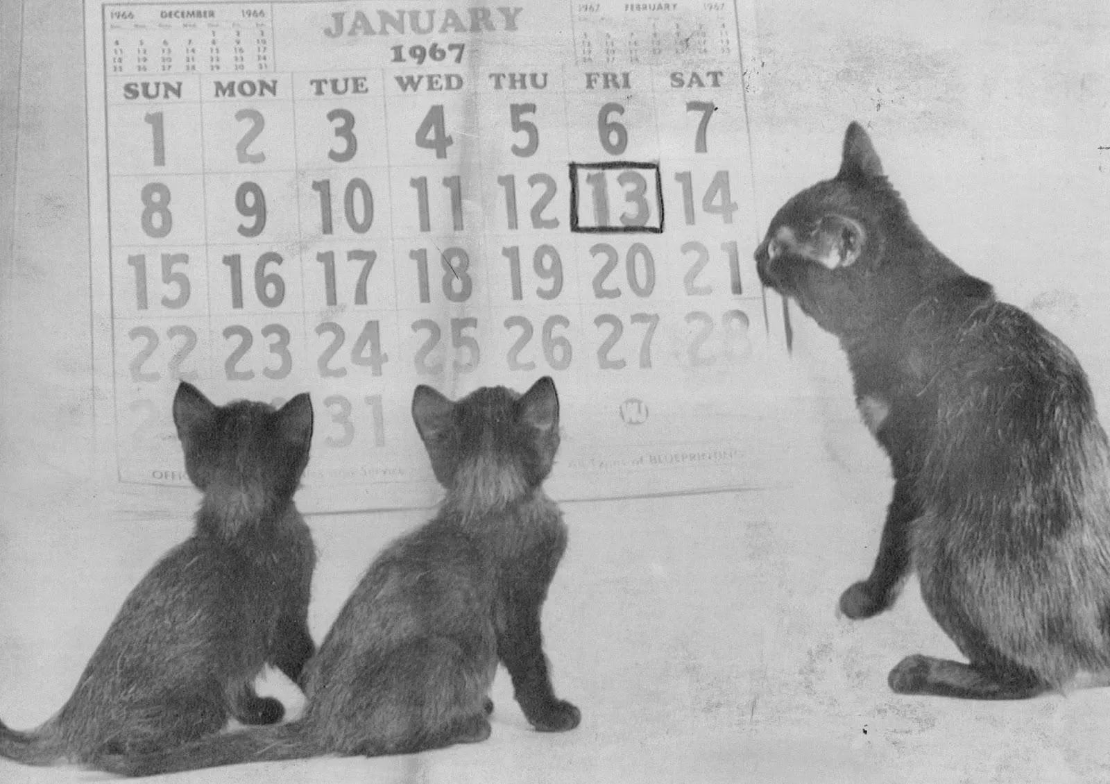 П'ятниця 13: історія, прикмети та забобони П'ятниця 13: історія, прикмети та забобони