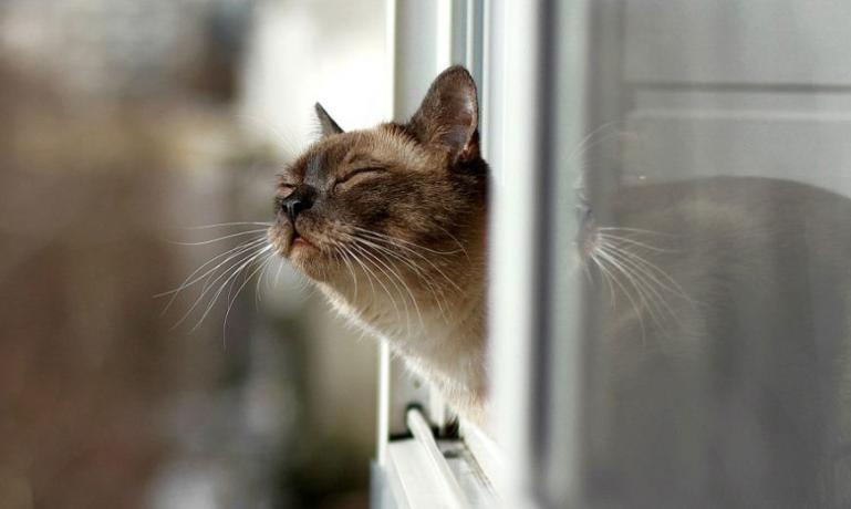 Погода 14 апреля в Украине: будет тепло, но возможен дождь