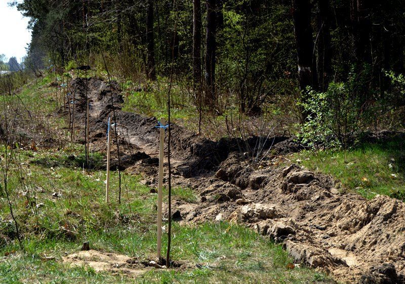 На Львовщине установили уникальный рекорд На Львовщине установили уникальный рекорд