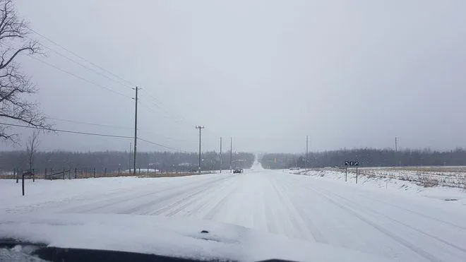 негода Канада Торонто сніг льодовий дощ негода Канада Торонто сніг льодовий дощ