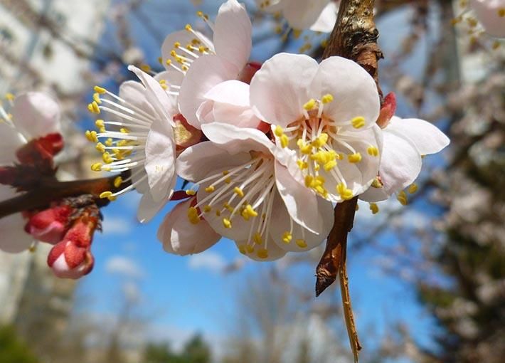 Погода 17 апреля в Украине: прогноз погоды Погода 17 апреля в Украине: прогноз погоды
