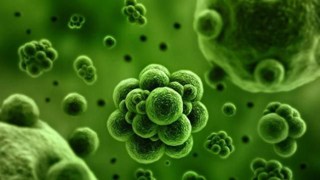 Вчені придумали, як відправити колоністів на інші сонячні системи Вчені придумали, як відправити колоністів на інші сонячні системи