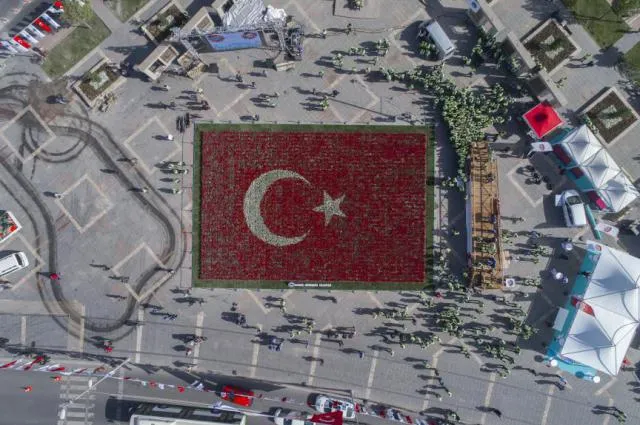 туреччина тюльпани туреччина тюльпани