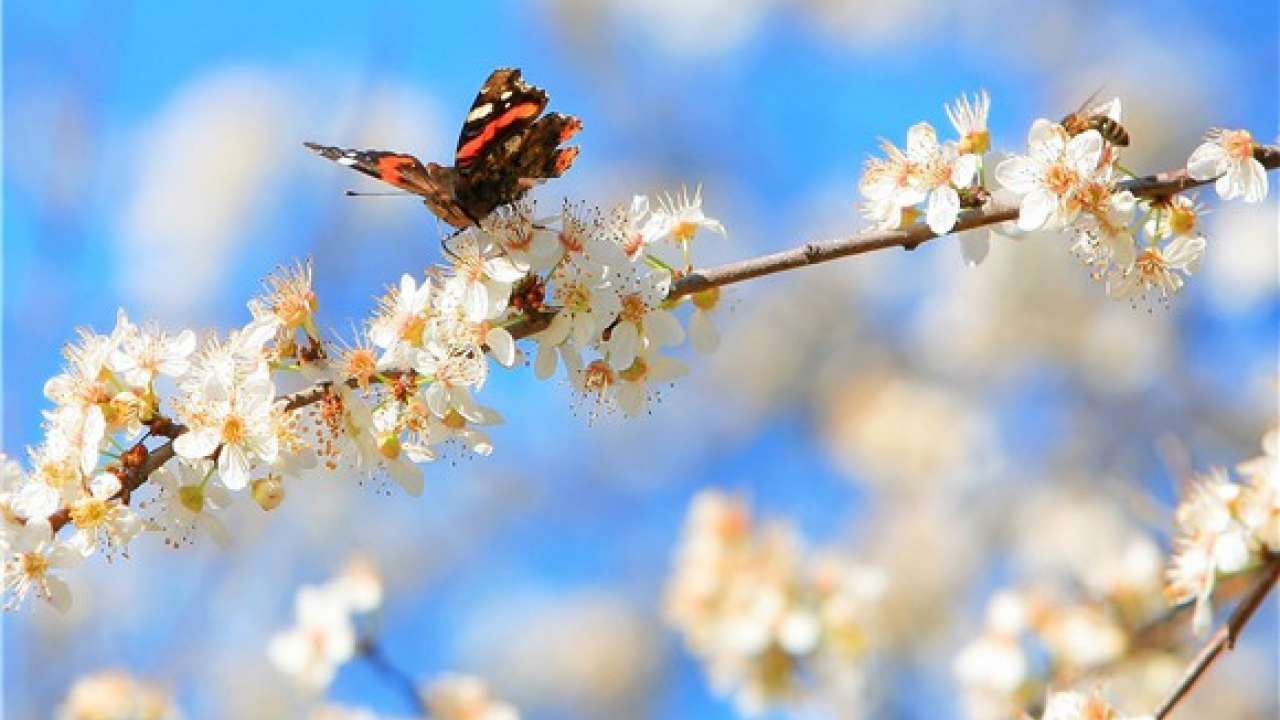 Прогноз погоды на 23 апреля в Украине - прогноз от синоптиков Прогноз погоды на 23 апреля в Украине - прогноз от синоптиков