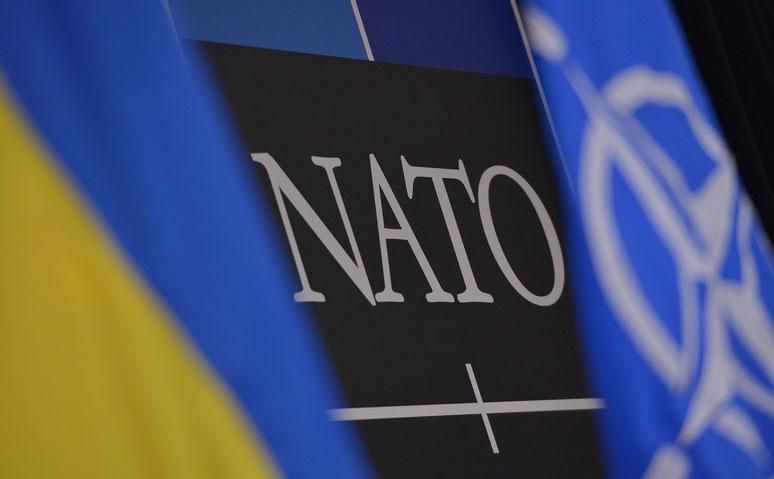 "Это проблема": экс-посол США объяснил, почему НАТО не хочет принимать Украину в альянс