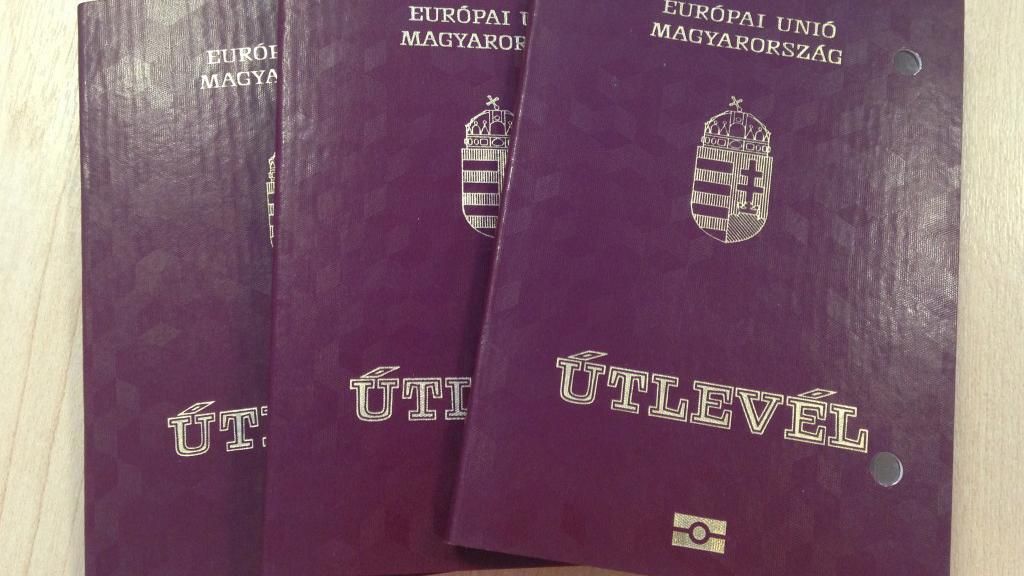 Жителям Закарпатья выдали более 100 тысяч венгерских паспортов, – МИД