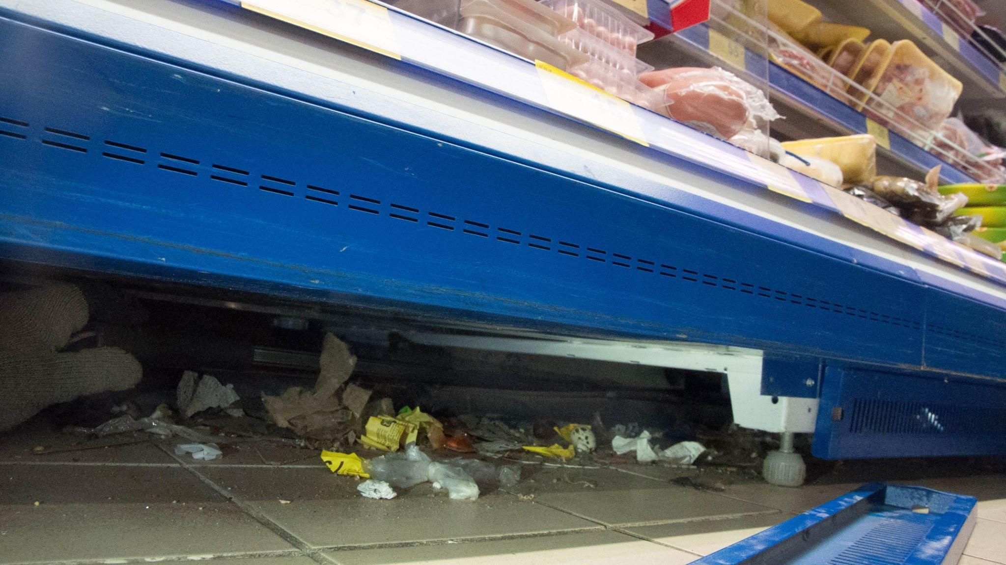 Киевский супермаркет "оккупировал" кот-гурман Киевский супермаркет "оккупировал" кот-гурман