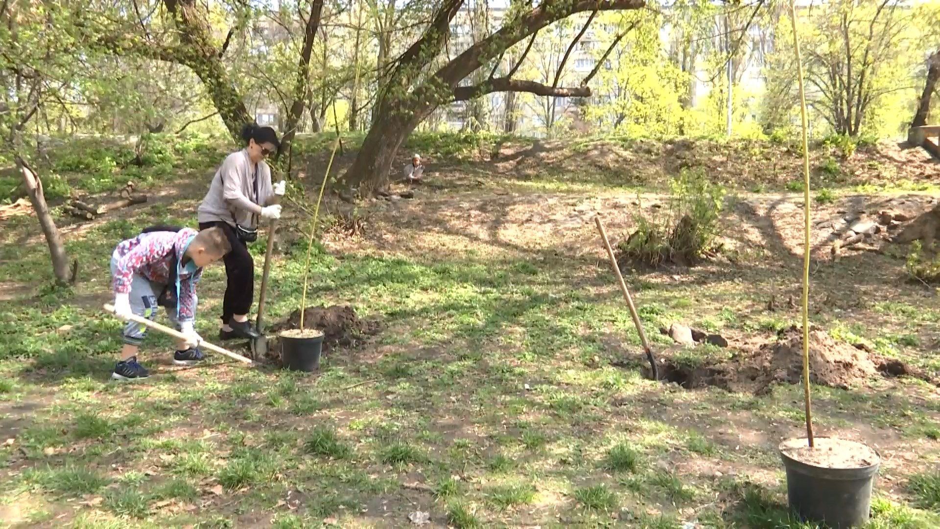 У Києві відбулася перша весняна масштабна толока У Києві відбулася перша весняна масштабна толока
