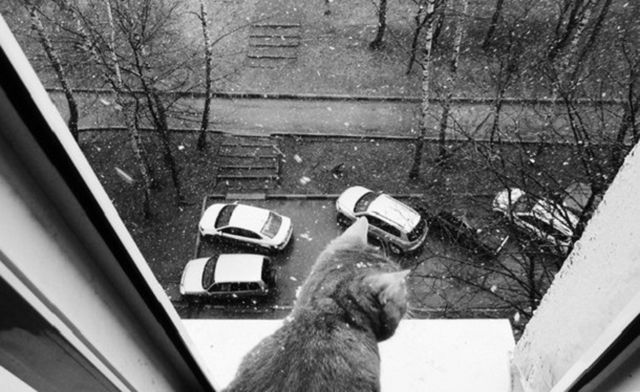 Россию в апреле засыпало снегом: фото и видео Россию в апреле засыпало снегом: фото и видео