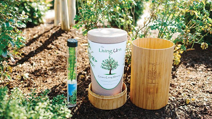 Біопоховання - влада змінить правила поховання: що це таке Біопоховання - влада змінить правила поховання: що це таке