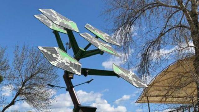 Уникальное для Украины: в Киеве открыли первое смарт-дерево – фото