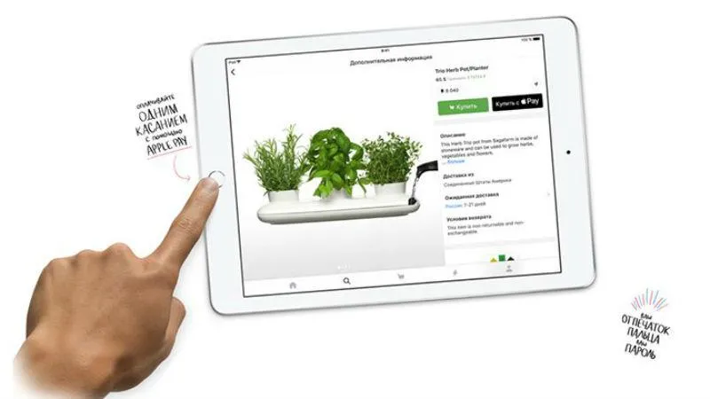 Pad 9.7 (2018) Pad 9.7 (2018)