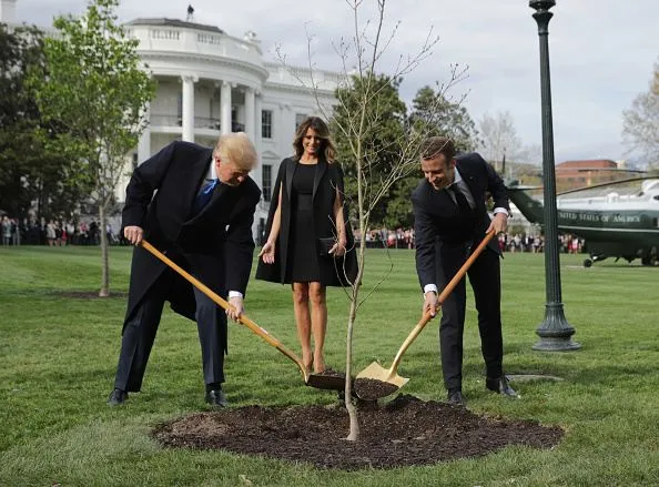 Еммануель Макрон та Дональд Трамп посадили дерево 