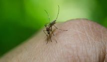 Чому малярія така небезпечна: симптоми, профілактика та лікування