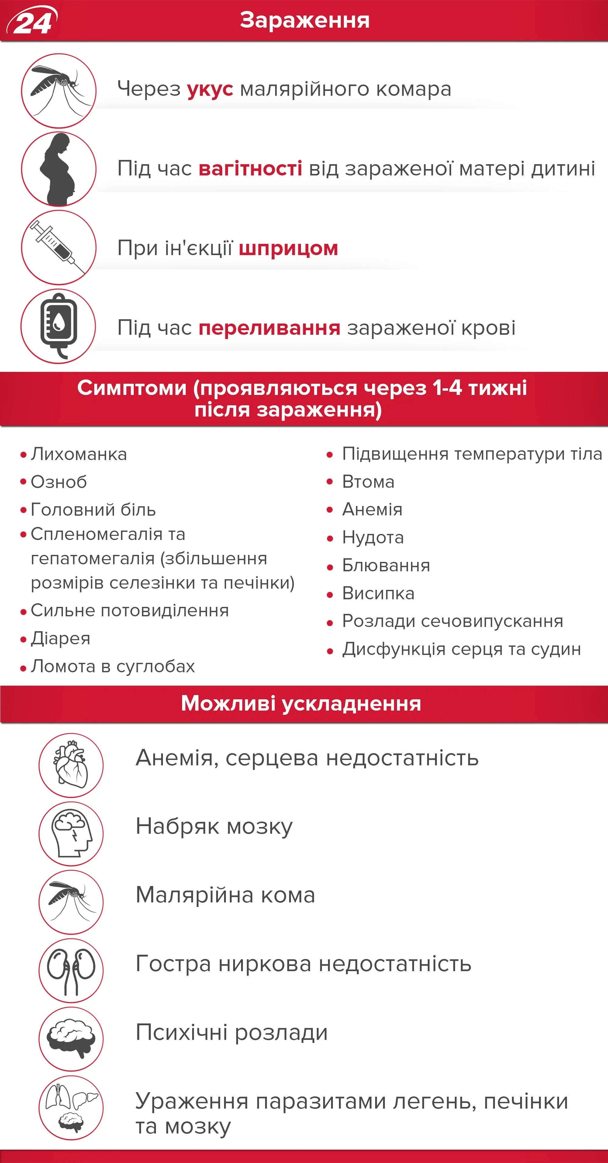 Чому малярія така небезпечна: симптоми, профілактика та лікування / Інфографіка 24 каналу