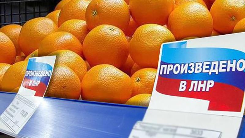 "Каїр наш": окупанти Луганщини похвалилися "виробництвом" екзотичного фрукту "Каїр наш": окупанти Луганщини похвалилися "виробництвом" екзотичного фрукту