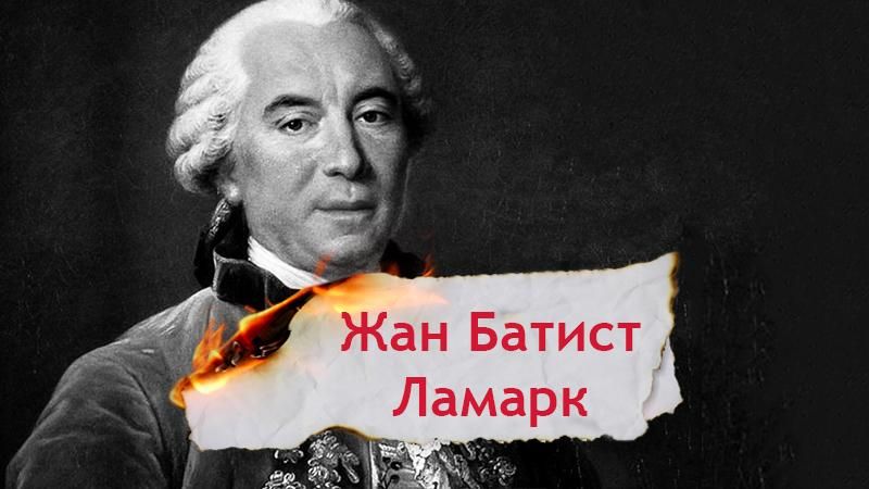 Одна история. Как недооцененный предшественник Дарвина Ламарк основал зоопсихологию