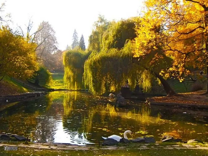 Де погуляти у Львові: цікаві та небанальні місця міста Лева Де погуляти у Львові: цікаві та небанальні місця міста Лева