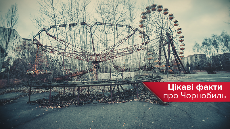 Чернобыль 2020 – факты об аварии на ЧАЭС, животных и городе Чернобыль 2020 – факты об аварии на ЧАЭС, животных и городе